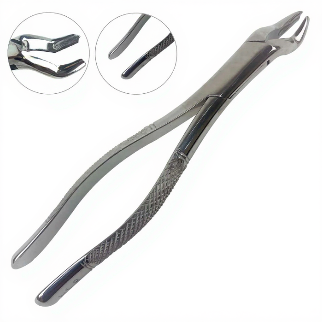 Dental Wax Modelling Carver